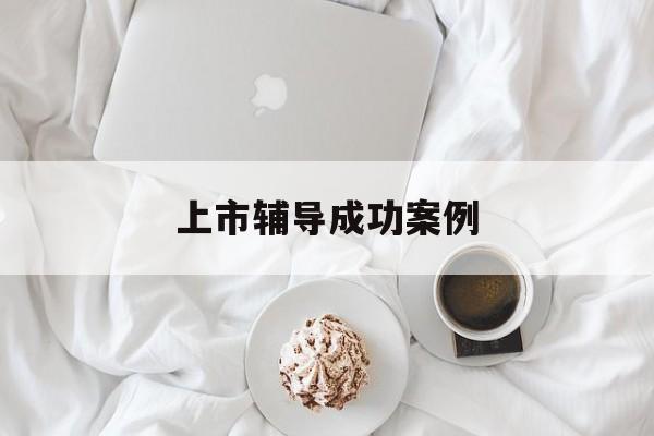 上市辅导成功案例(上市辅导成功后肯定会上市吗)西昌市